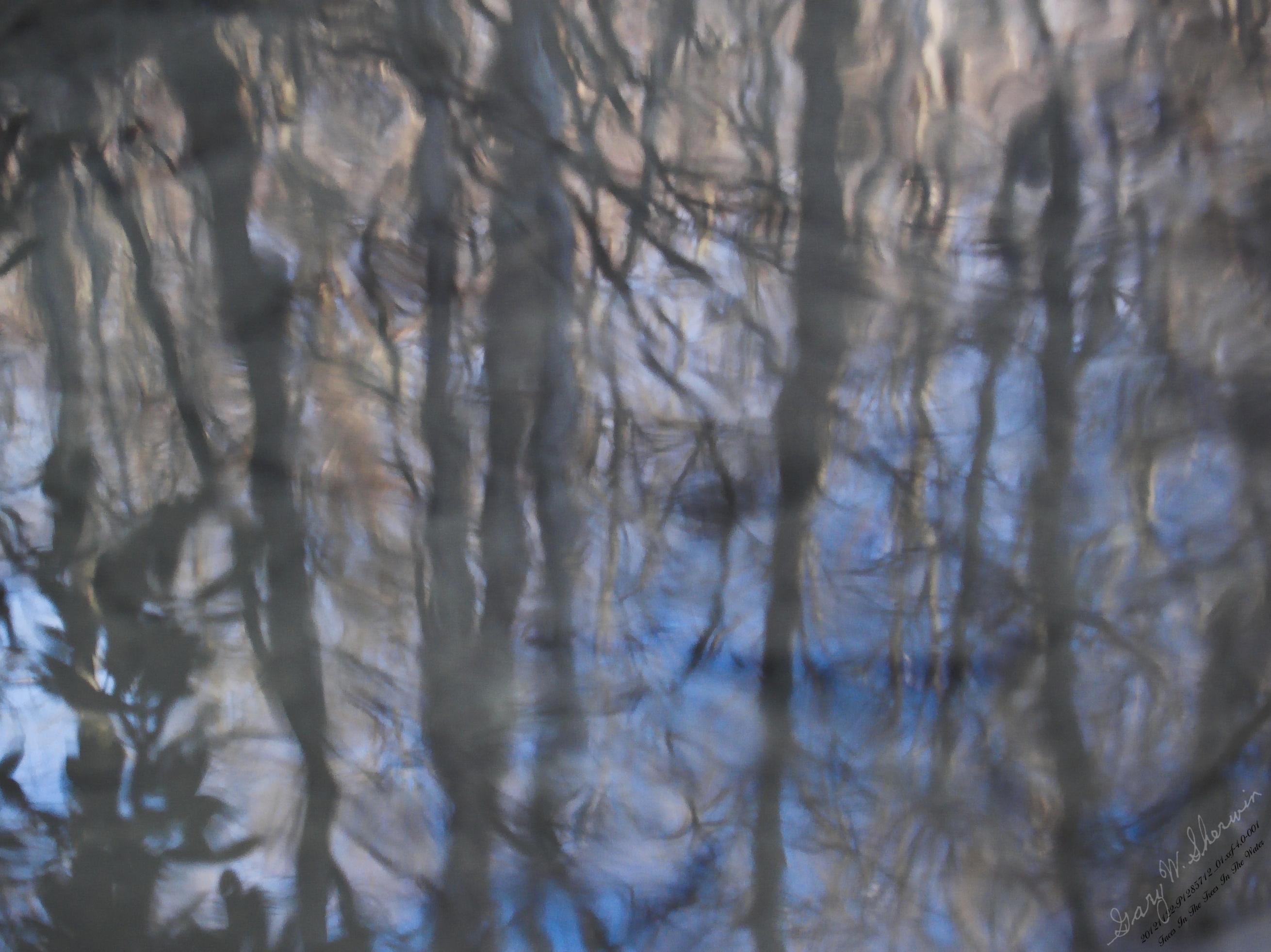 Faces-In-The-Trees-In-The-Water