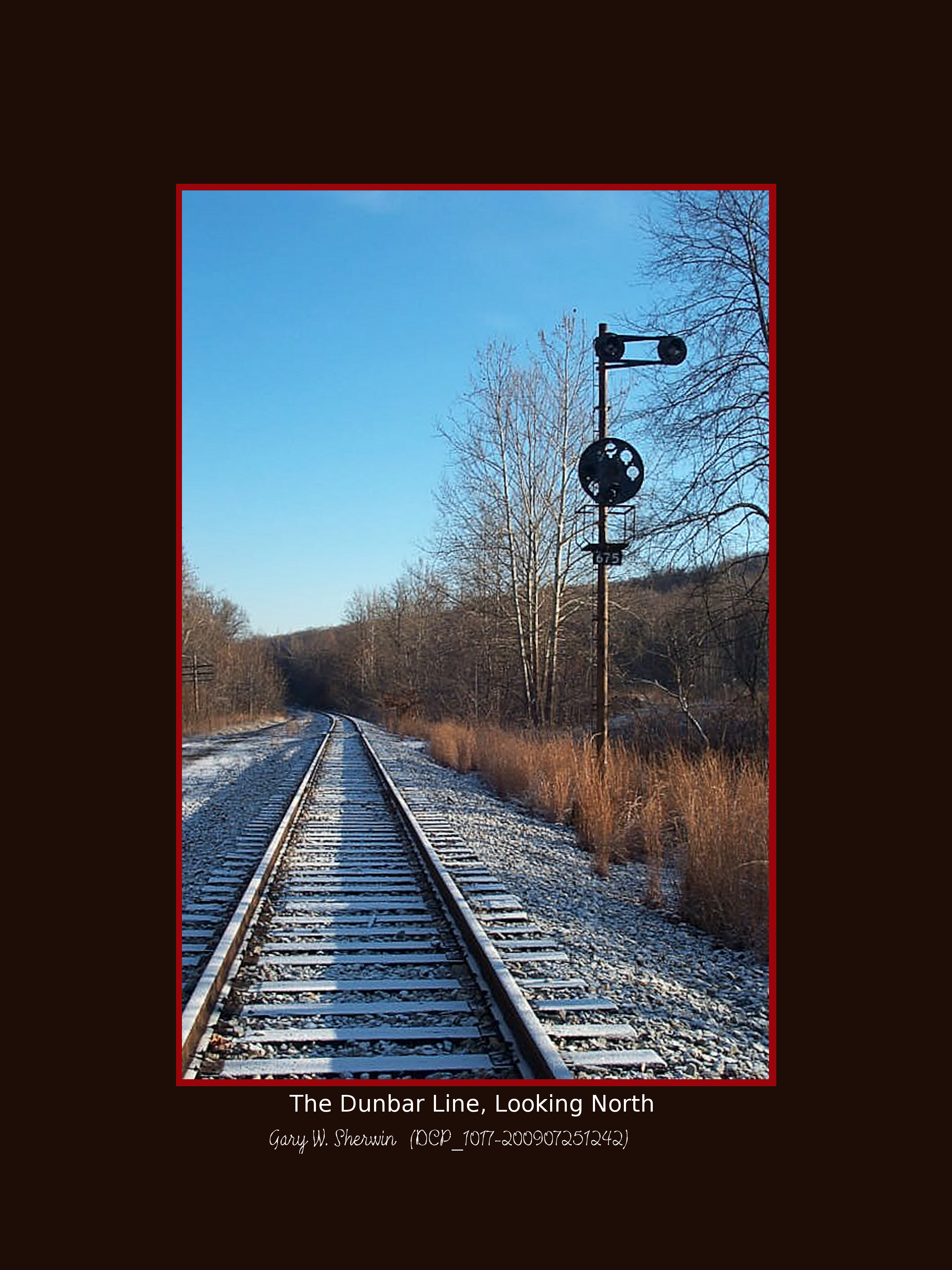 matted-dcp-1017