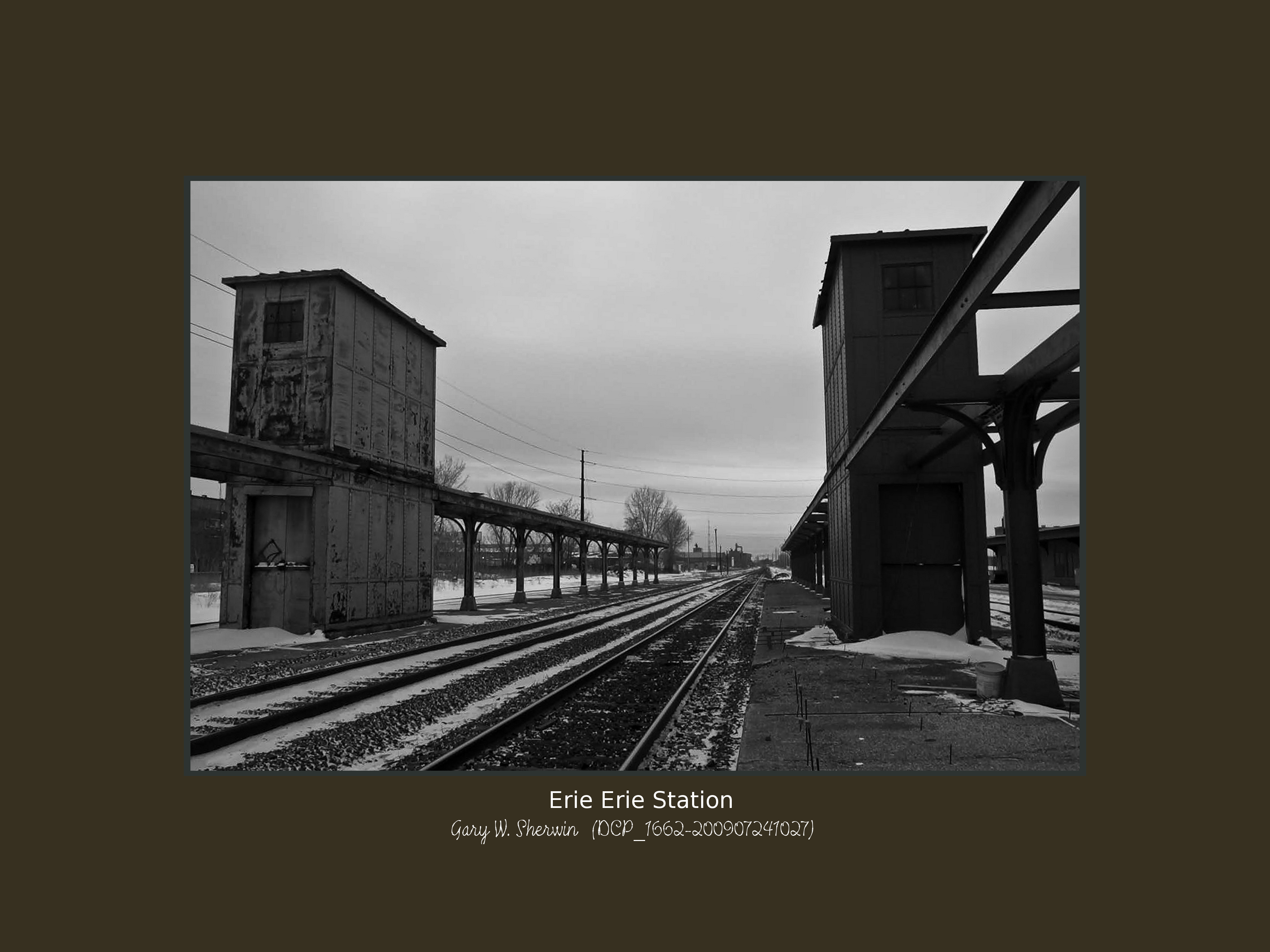 matted-dcp-1662