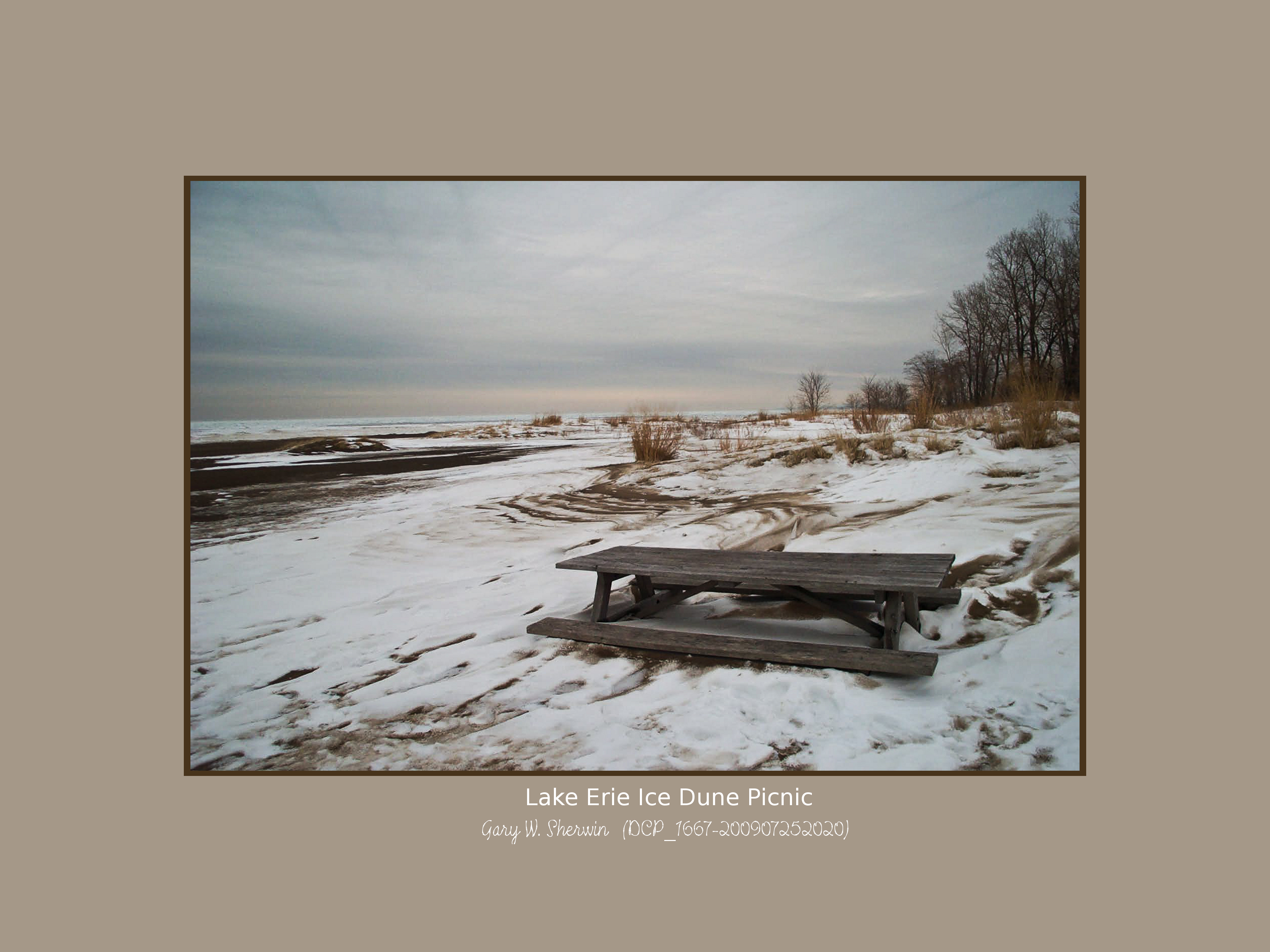 matted-dcp-1667