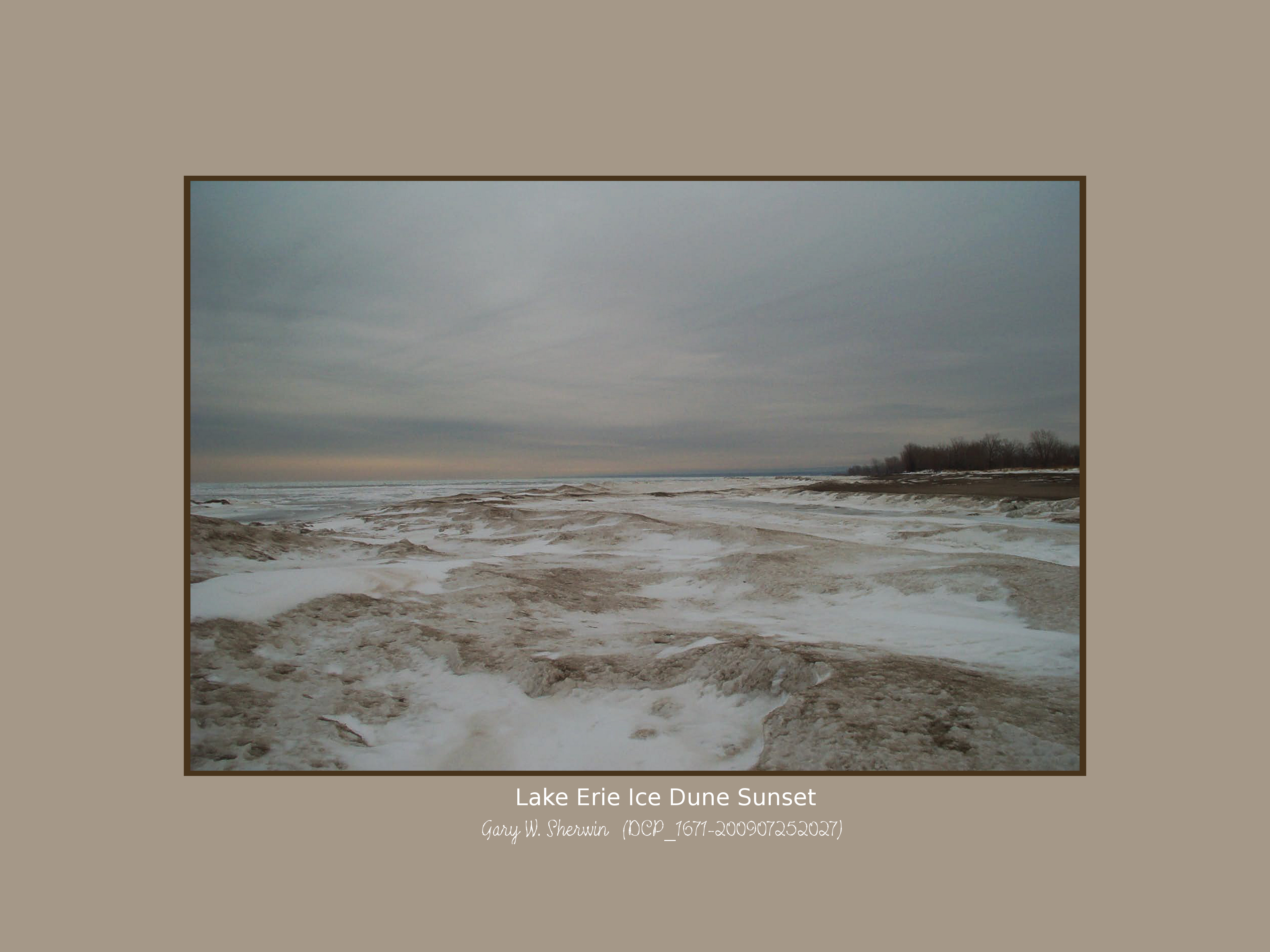matted-dcp-1671