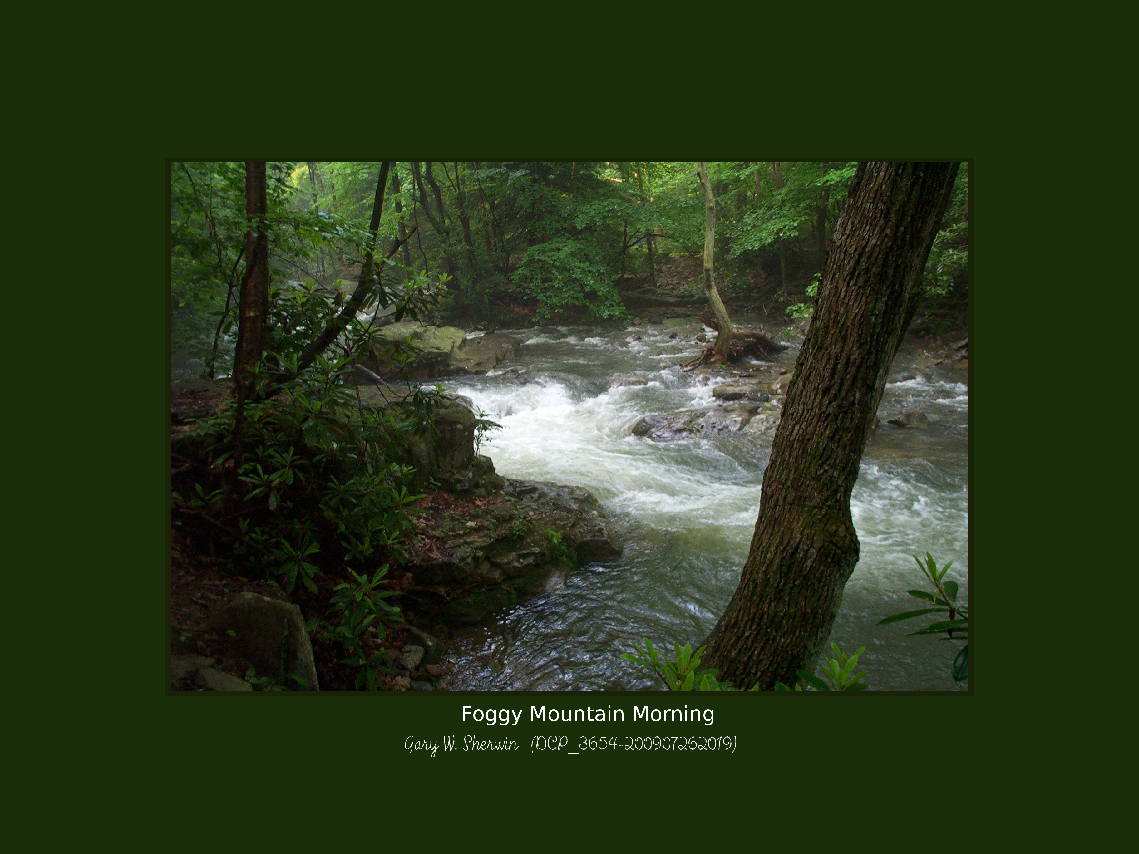 matted-dcp-3654