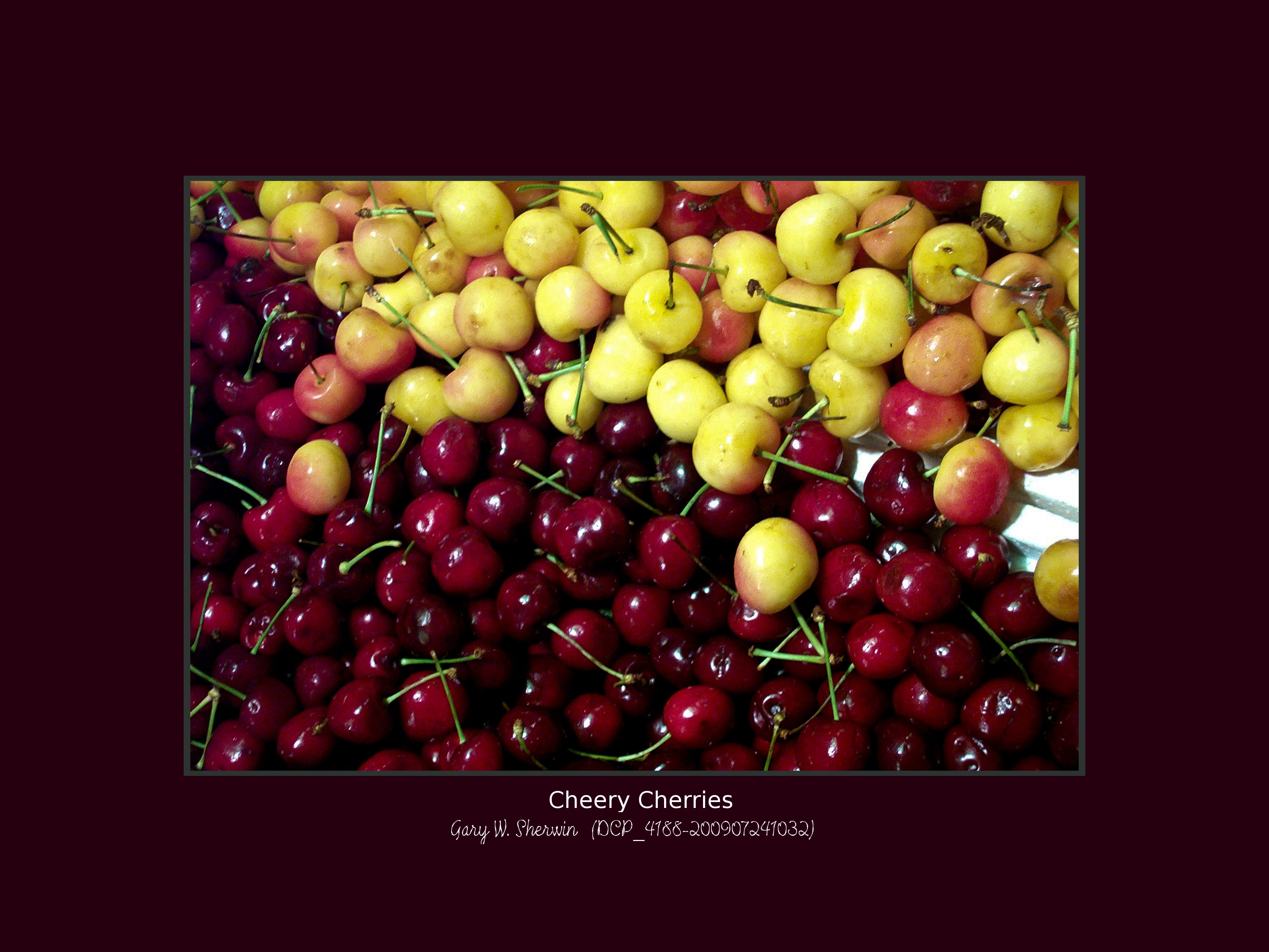 matted-dcp-4188