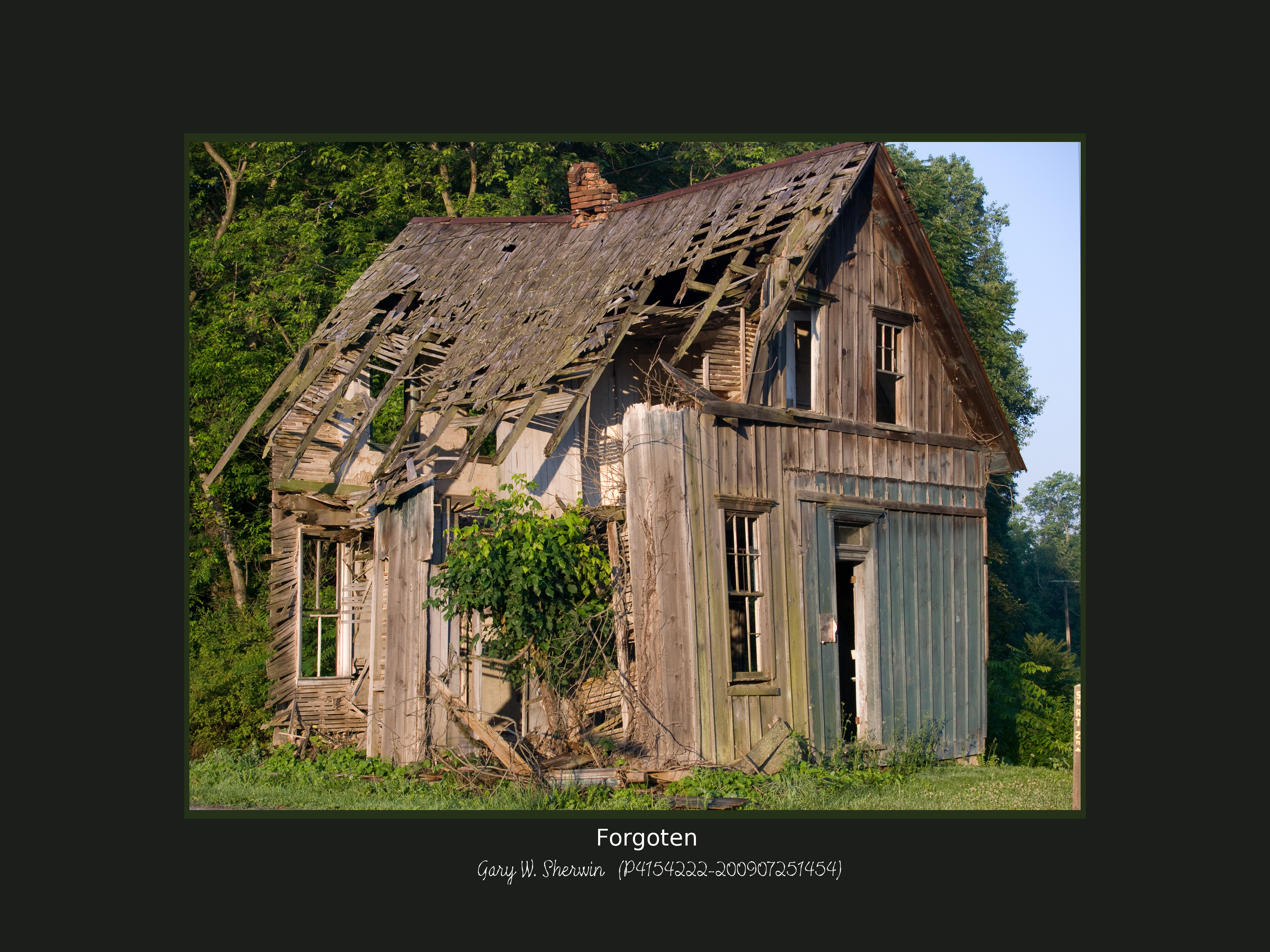 matted-p4154222