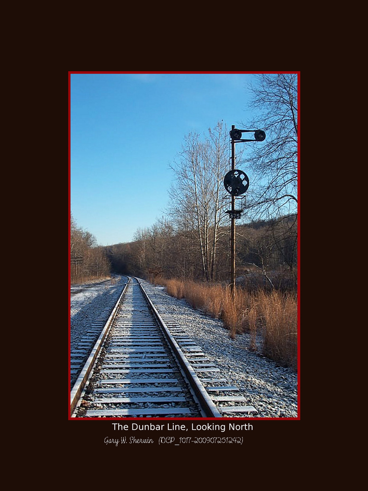 matted-dcp-1017