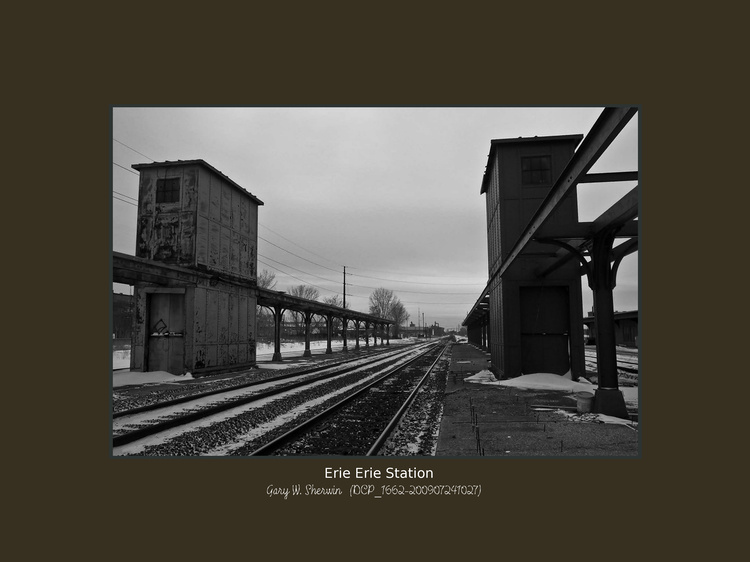 matted-dcp-1662