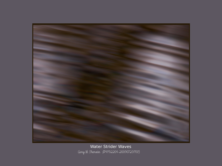matted-p4192204
