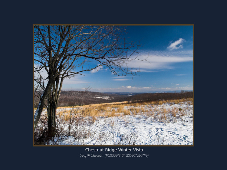 matted-pc033977-01